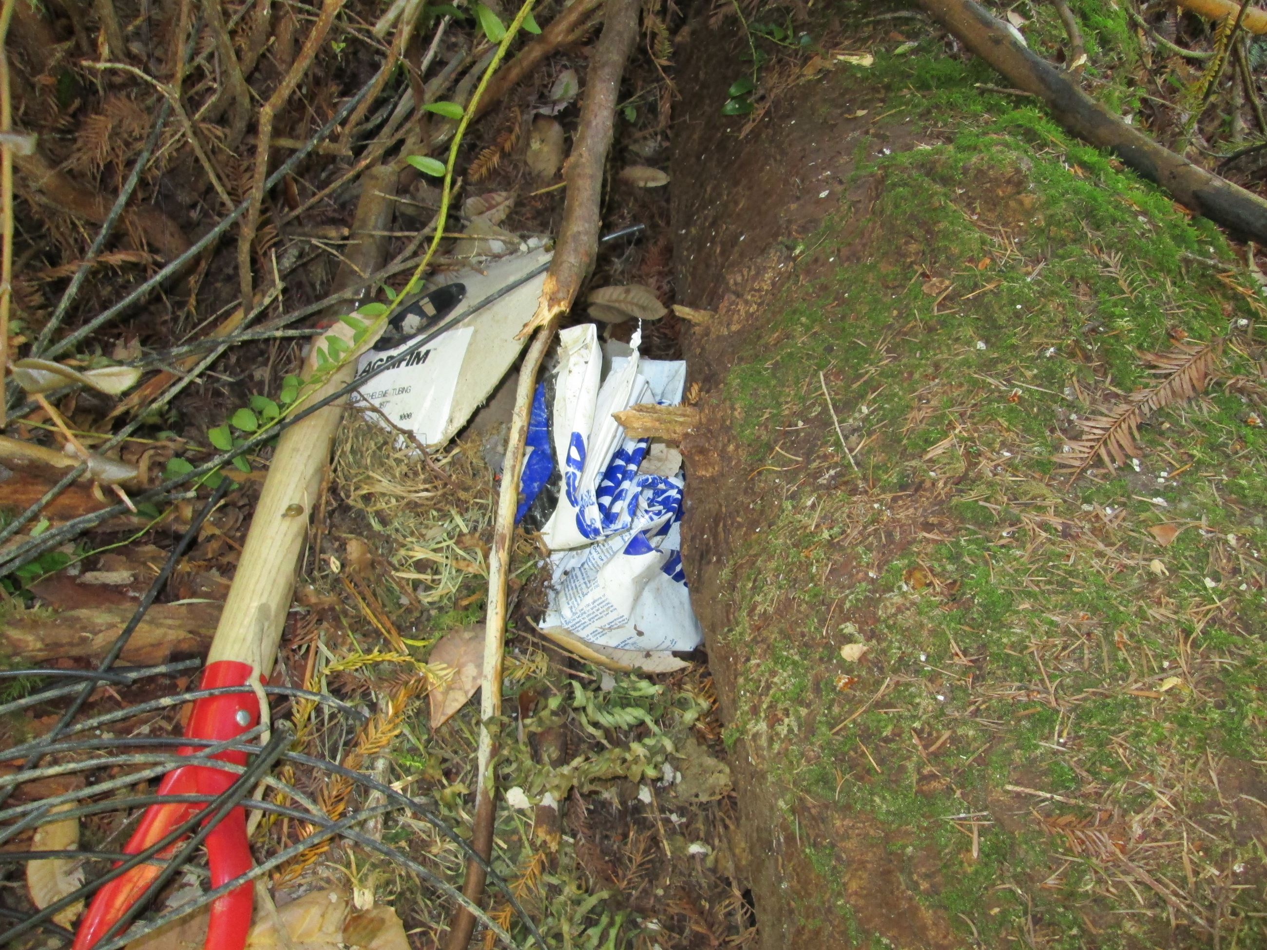 Trespass Marijuana Grow - 201603359